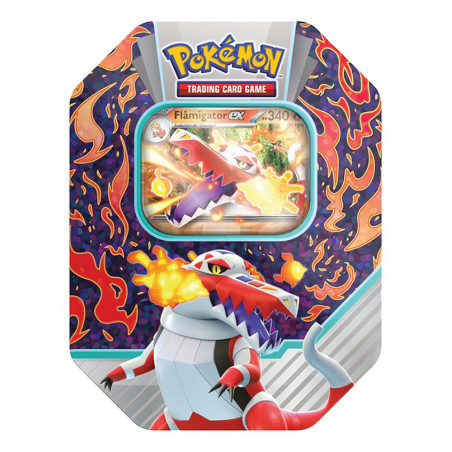 Kopie von Pokebox Nymphali V