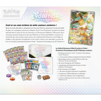 Kopie van Kopie van Coffret dresseur d'Élite